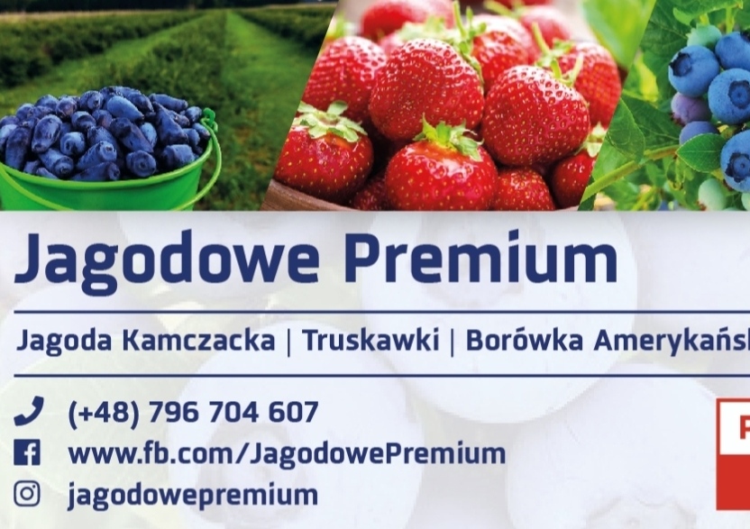 Zdjęcie gospodarstwa – Owoce Jagodowe Premium