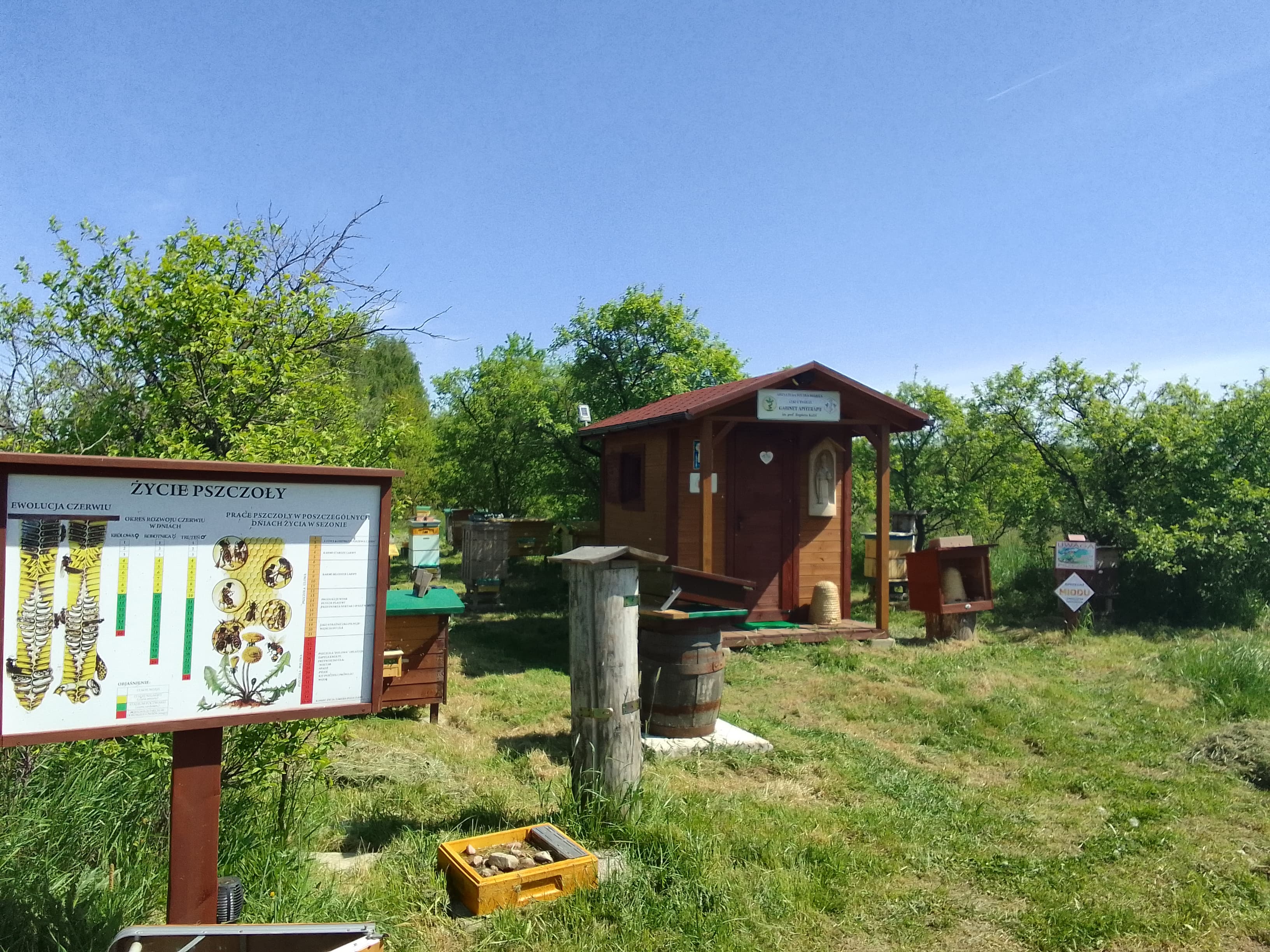 Zdjęcie gospodarstwa – Pasieka Leki z Pasieki Apicultura Polska