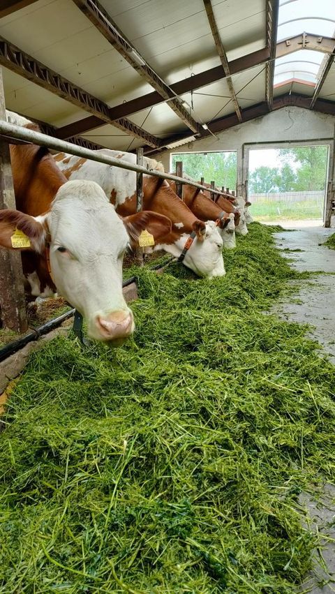 Zdjęcie gospodarstwa – Manufakturadobra