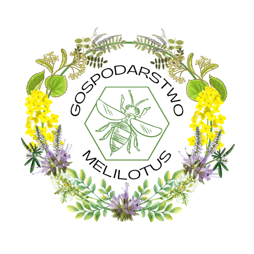 Gospodarstwo Melilotus